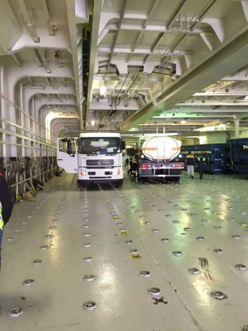 特殊物品清關哪家公司好